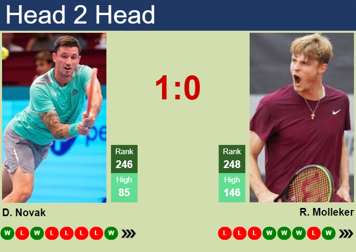 H2H, prediction of Dennis Novak vs Rudolf Molleker in Szczecin Challenger with odds, preview, pick | 11th September 2024