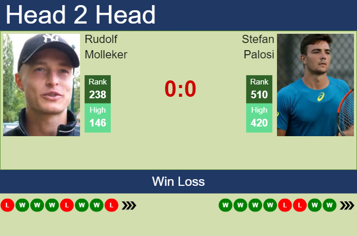 H2H, prediction of Rudolf Molleker vs Stefan Palosi in Sibiu Challenger with odds, preview, pick | 17th September 2024