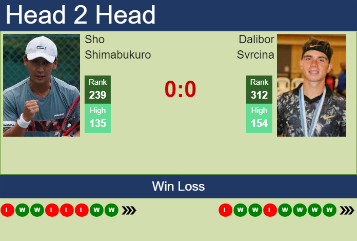 H2H, prediction of Sho Shimabukuro vs Dalibor Svrcina in Shanghai Challenger with odds, preview, pick | 6th September 2024