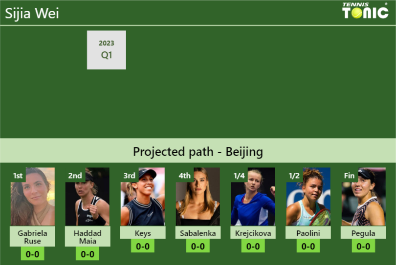Sijia Wei Stats Info Brpzgk8ygm Sijia Wei Stats info