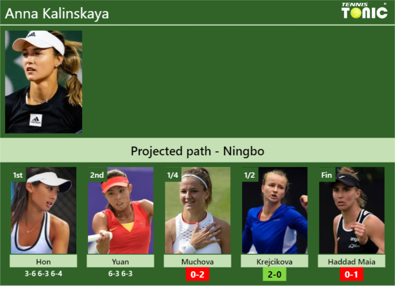 Anna Kalinskaya Stats info