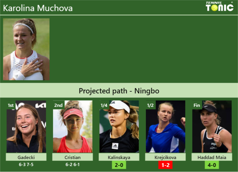 Karolina Muchova Stats info