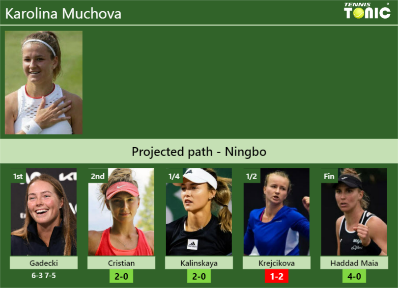 Karolina Muchova Stats info