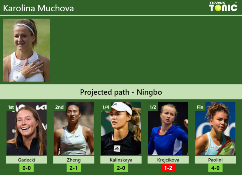 Karolina Muchova Stats info