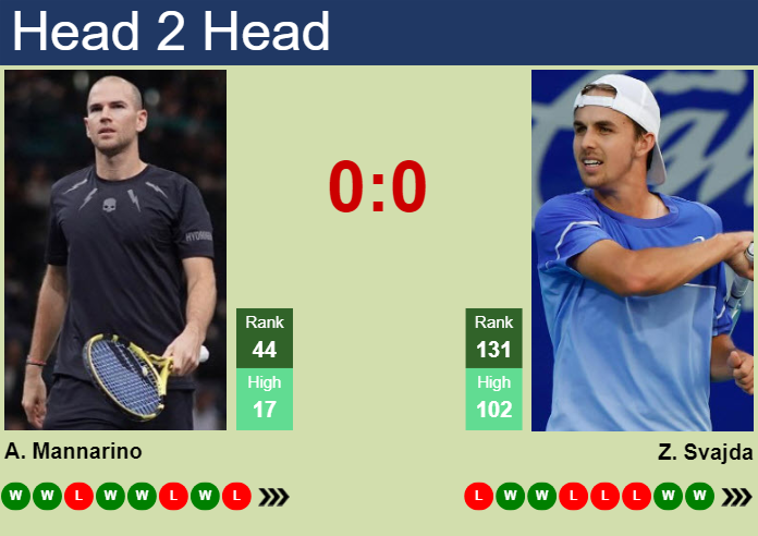 H2H, prediction of Adrian Mannarino vs Zachary Svajda in Shanghai with odds, preview, pick | 2nd October 2024