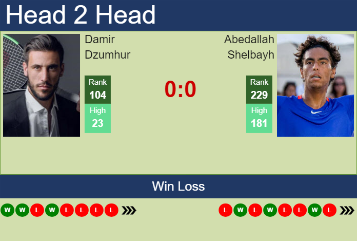 H2H, prediction of Damir Dzumhur vs Abedallah Shelbayh in Brest Challenger with odds, preview, pick | 22nd October 2024