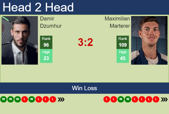 H2H, prediction of Damir Dzumhur vs Maximilian Marterer in Almaty with odds, preview, pick | 14th October 2024