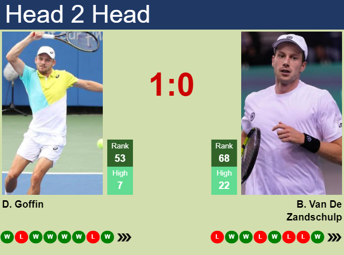 H2H, prediction of David Goffin vs Botic Van De Zandschulp in Basel with odds, preview, pick | 20th October 2024