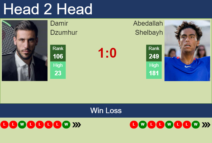 H2H, prediction of Damir Dzumhur vs Abedallah Shelbayh in Montemar Challenger with odds, preview, pick | 20th November 2024