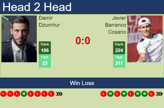 H2H, prediction of Damir Dzumhur vs Javier Barranco Cosano in Montemar Challenger with odds, preview, pick | 19th November 2024