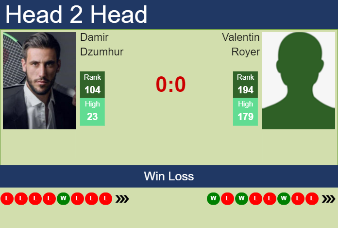 H2H, prediction of Damir Dzumhur vs Valentin Royer in Lyon Challenger with odds, preview, pick | 11th November 2024