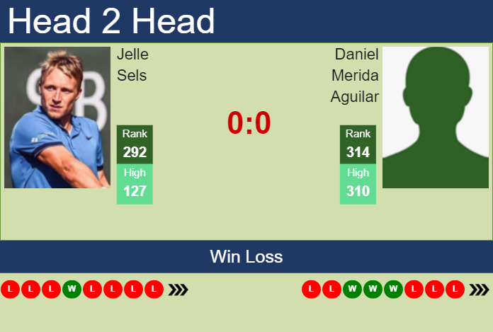 H2H, prediction of Jelle Sels vs Daniel Merida Aguilar in Maia Challenger with odds, preview, pick | 25th November 2024