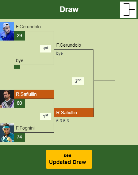 Roman Safiullin Draw info