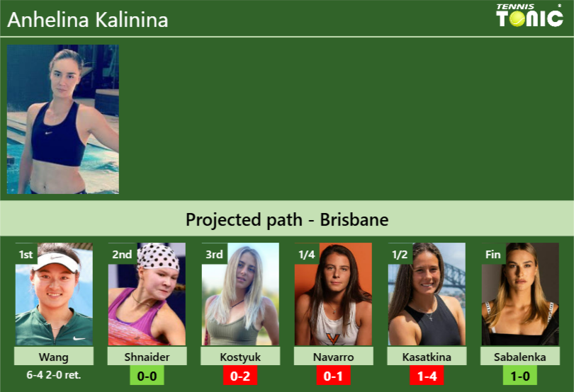 Anhelina Kalinina Stats Info A3d0qa5exh Anhelina Kalinina Stats info