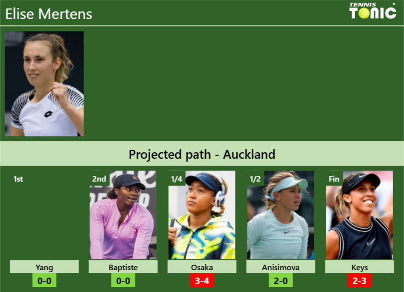 Elise Mertens Stats info