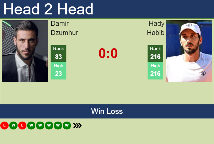 H2H, prediction of Damir Dzumhur vs Hady Habib in Canberra Challenger with odds, preview, pick | 31st December 2024