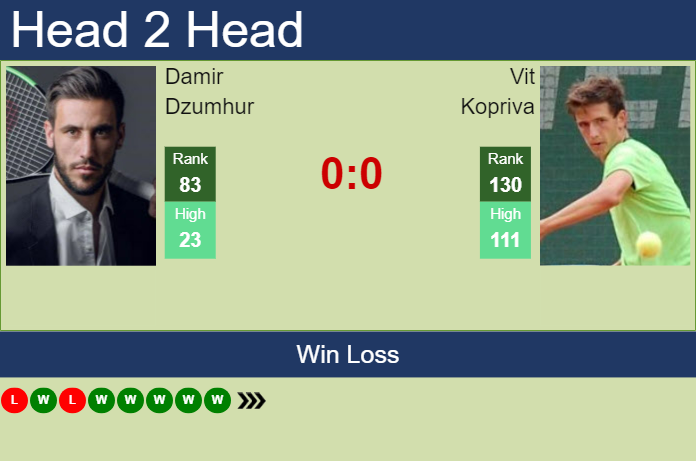 H2H, prediction of Damir Dzumhur vs Vit Kopriva in Canberra Challenger with odds, preview, pick | 1st January 2025