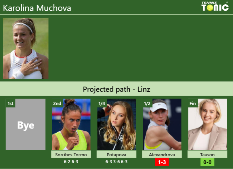 Karolina Muchova Stats info