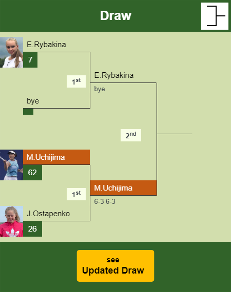 Moyuka Uchijima Draw info