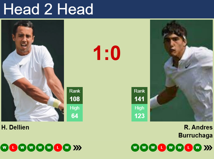 H2H, prediction of Hugo Dellien vs Roman Andres Burruchaga in Rio De Janeiro with odds, preview, pick | 16th February 2025