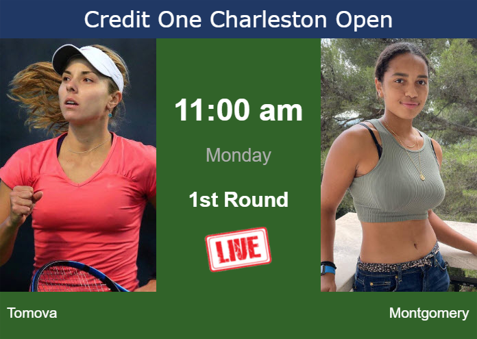 How to watch Tomova vs. Montgomery on live streaming in Charleston on Monday