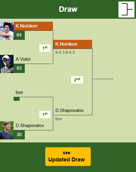 Kei Nishikori Draw info