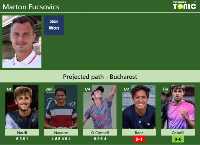 Marton Fucsovics Stats info