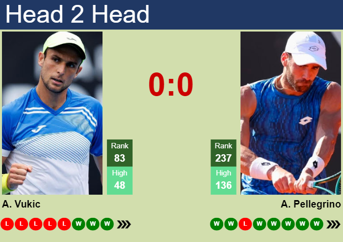 H2H, prediction of Aleksandar Vukic vs Andrea Pellegrino in Estoril Challenger with odds, preview, pick | 3rd May 2025