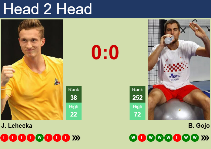 H2H, prediction of Jiri Lehecka vs Borna Gojo in Hamburg with odds, preview, pick | 19th May 2025