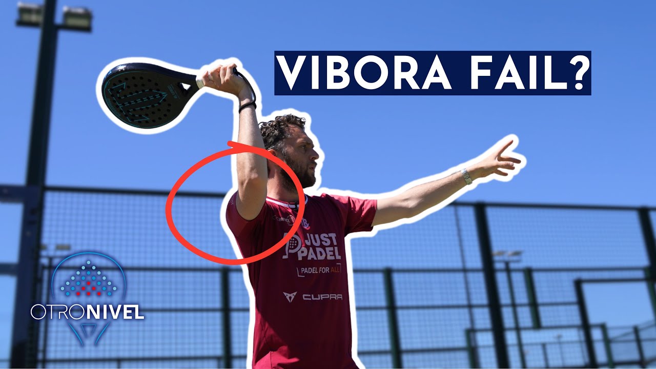 How To Have A Consistent Vibora how-to-have-a-consistent-vibora