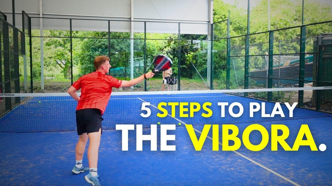 How To Play The Vibora Learn In 10 Minutes how-to-play-the-vibora-learn-in-10-minutes