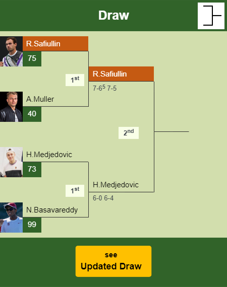 Roman Safiullin Draw info