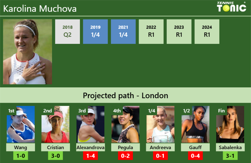 Karolina Muchova Stats info