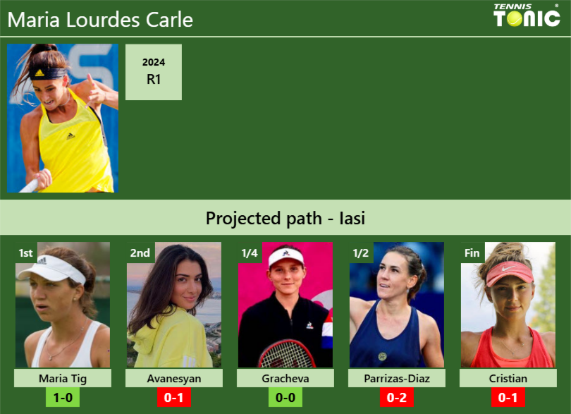 Maria Lourdes Carle Stats info