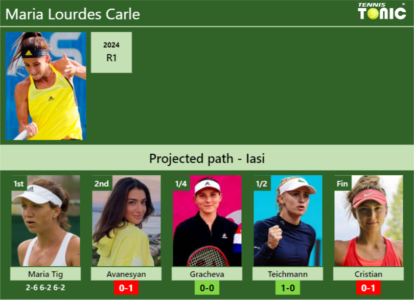 Maria Lourdes Carle Stats info