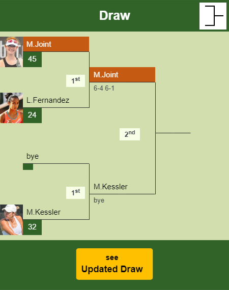 Maya Joint Draw info
