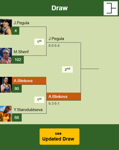 Anna Blinkova Draw info