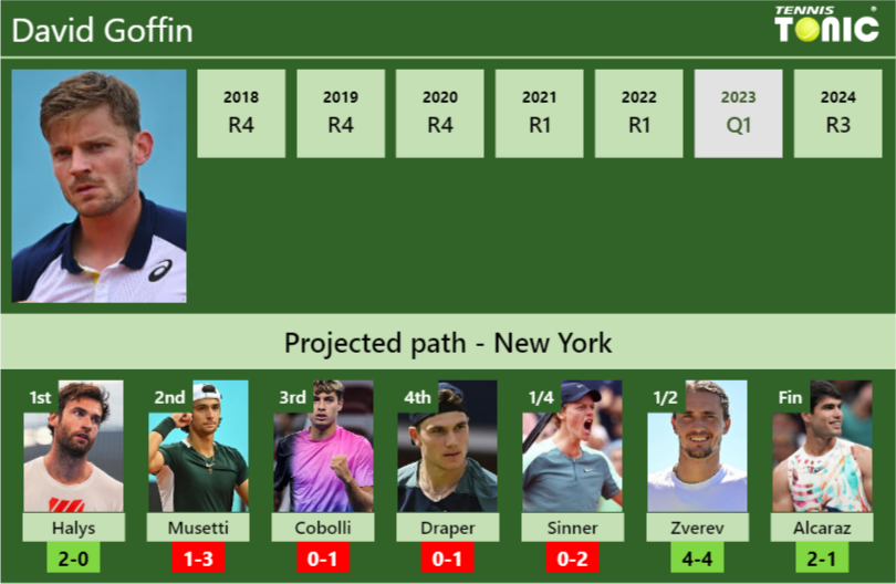David Goffin Stats info
