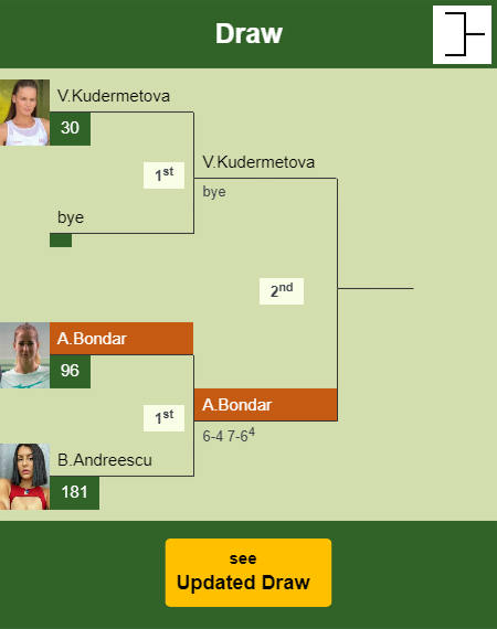 Anna Bondar Draw info