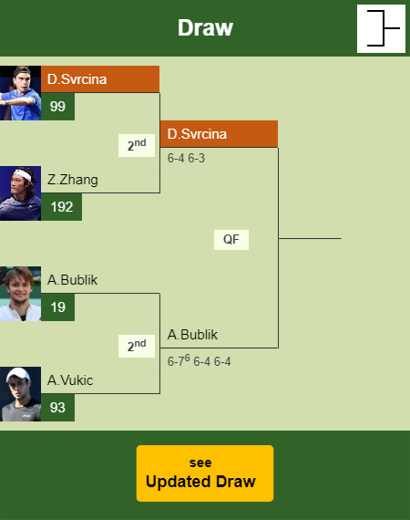 Dalibor Svrcina Draw info