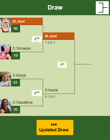 Maya Joint Draw info