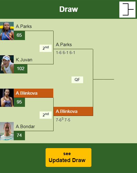 Anna Blinkova Draw info