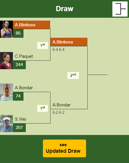 Anna Blinkova Draw info