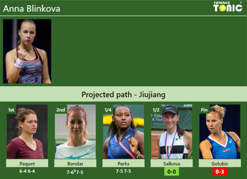Anna Blinkova Stats info