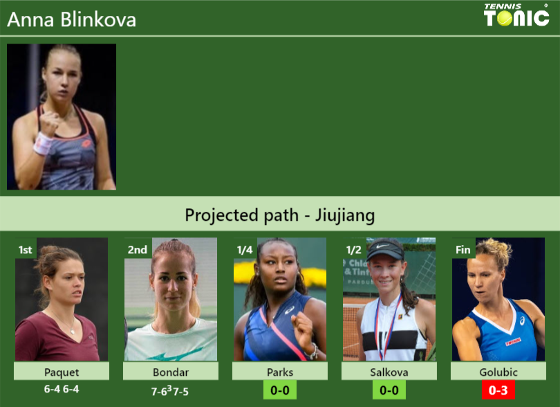 Anna Blinkova Stats info