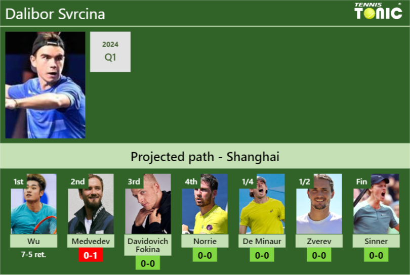 Dalibor Svrcina Stats info