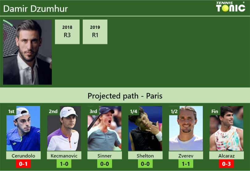 Damir Dzumhur Stats info
