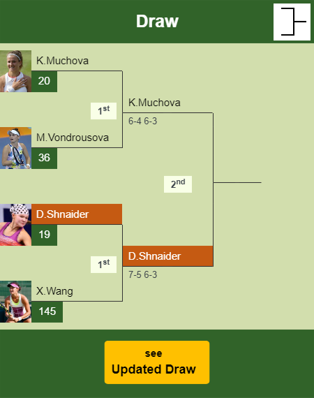 Diana Shnaider Draw info