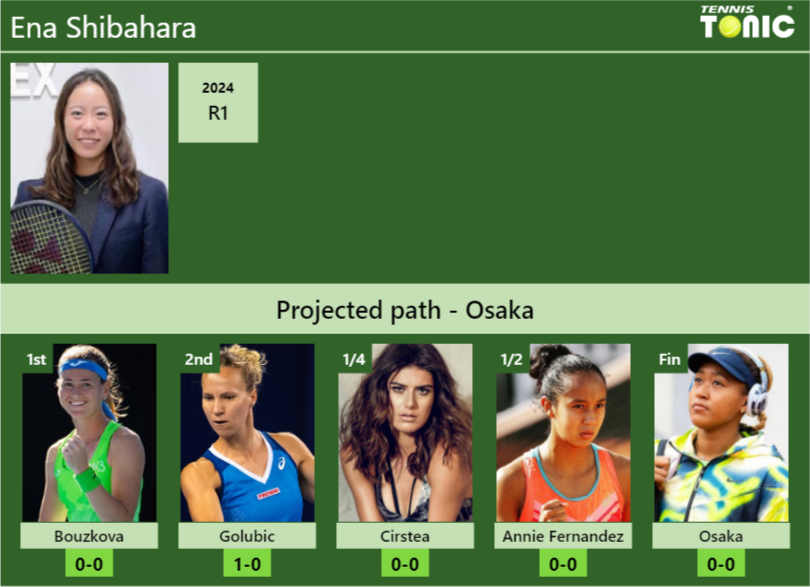 Ena Shibahara Stats info