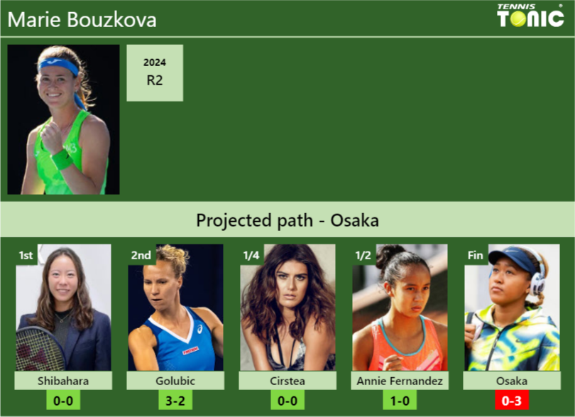 Marie Bouzkova Stats info
